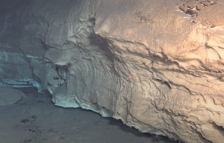 VIDEO U dubinama Pacifika pronađen "grad" koji mijenja shvaćanje postanka života