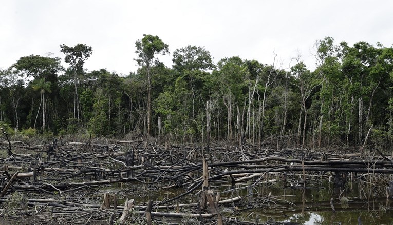 Države Amazonske prašume okupljaju se u Brazilu zbog dogovora o deforestaciji