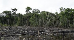 Države Amazonske prašume okupljaju se u Brazilu zbog dogovora o deforestaciji