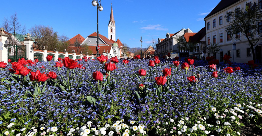 FOTO Proljeće je stiglo u grad, zagrebački Kaptol osvanuo u cvijeću