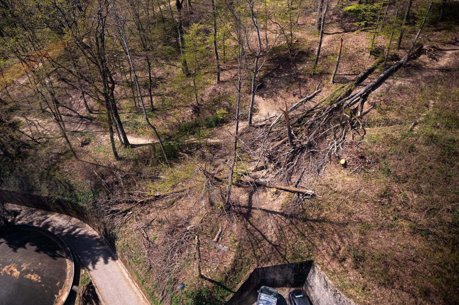 FOTO Sljeme dva tjedna nakon oluje: Šuma razorena, sanacija u tijeku