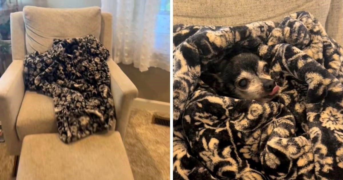 Mislila je da je pas pobjegao iz kuće, pronašla ga je na neočekivanom mjestu