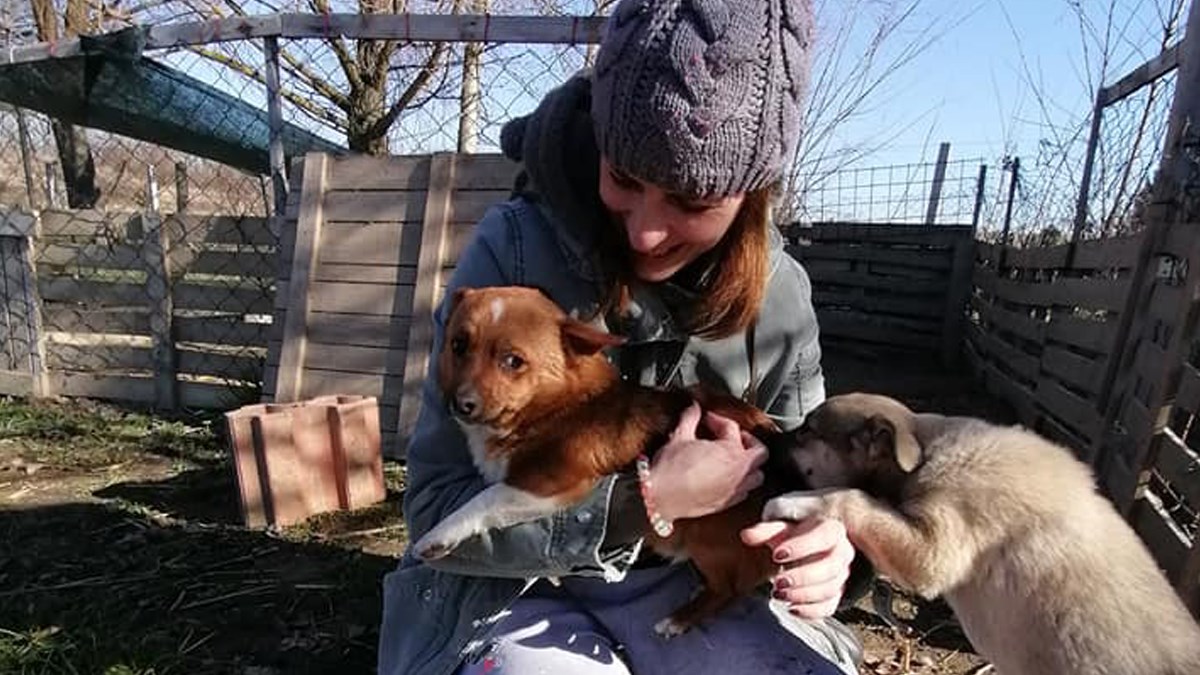 Farmica brine za sve životinje koje su ostavljene. Sada njima hitno treba pomoć