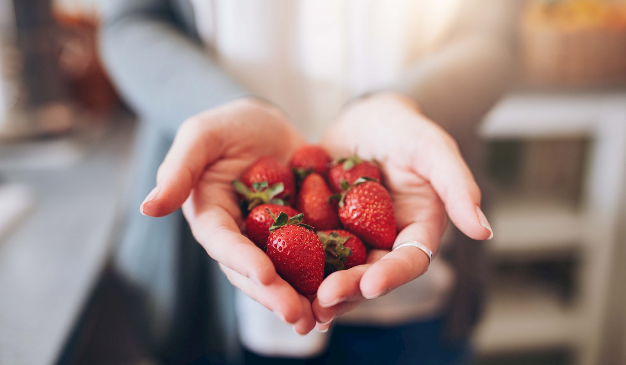 Njihova posvećenost prepoznata je širom Hrvatske: Donosimo priču o domaćim voćarima