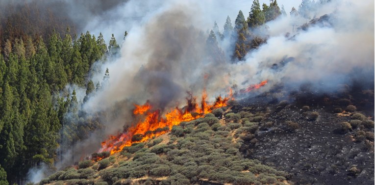 Šumski požari haraju Grčkom i Španjolskom