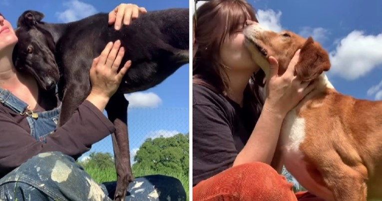 Djevojka ljubi pse u skloništu, a njihove reakcije slamaju srce i tope dušu