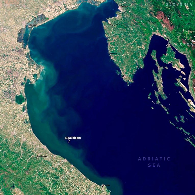 FOTO Cvjetanje mora na sjeveru Jadrana vidi se iz svemira. Znanstvenici kreću u izvid