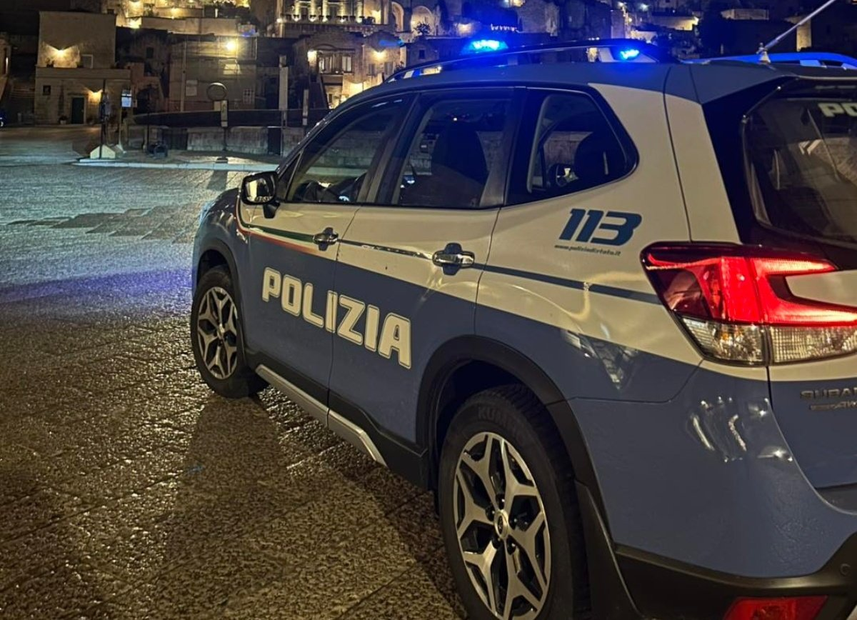 Ispod nadvožnjaka u Italiji pronađeno najmanje 15 ubijenih pasa