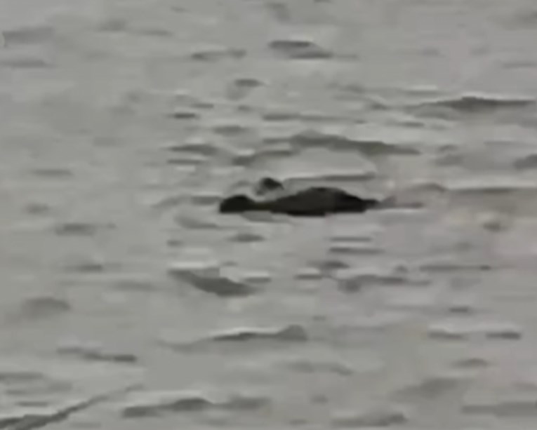 U Indiji nestao dječak (13), krokodil ga odvukao u rijeku