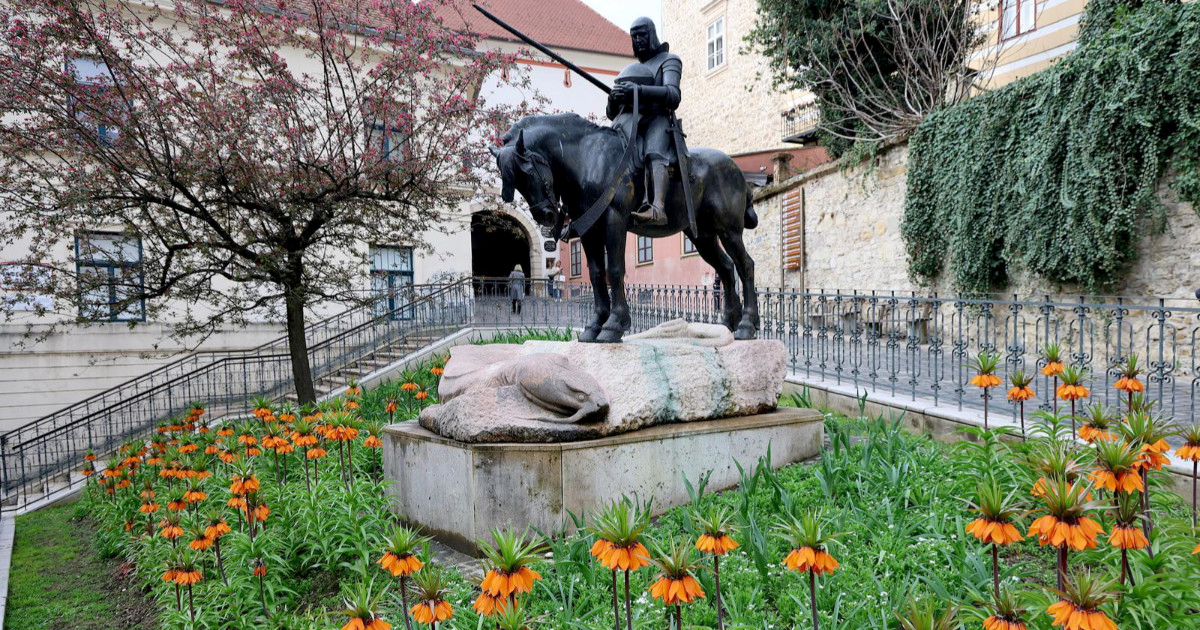 Kod Kamenitih vrata posađena je neobična biljka. Ima jak, nekima neugodan miris