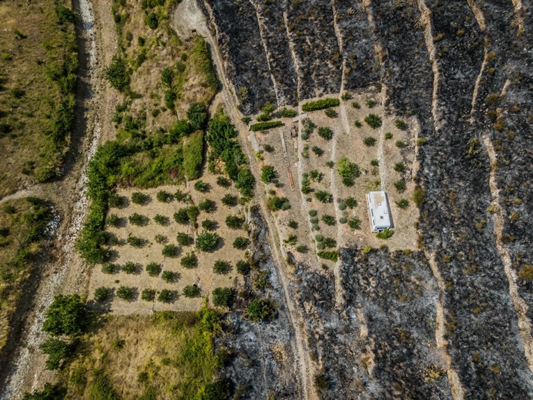 Prizor iz LA-a podsjeća na Hrvatsku. Ljetos je na Mosoru kamp-kućica ostala netaknuta