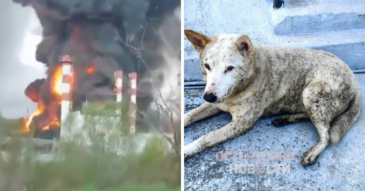 VIDEO Panika, bijes i strah u ruskom gradu. "Monstruozno, ovo je nova Hirošima"