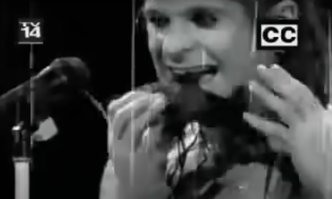 Ozzy je 1982. odgrizao glavu šišmišu na stageu. Nije znao da to radi