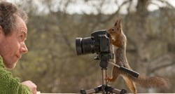 Fotke vjeverica u neobičnim pozama hit su na internetu