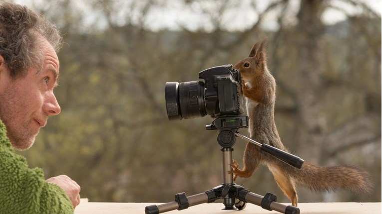 Fotke vjeverica u neobičnim pozama hit su na internetu