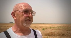 Žetva pšenice u Slavoniji krenula ranije, ratari su uzrujani