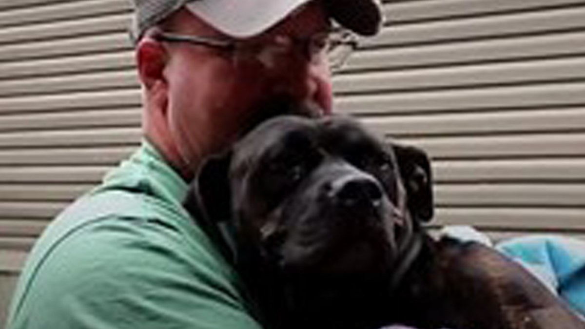 Ispred kuće im se pojavila bolesna kujica, odlučili su se za nešto nevjerojatno