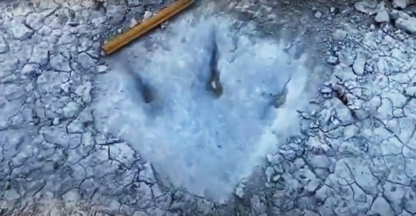 VIDEO U SAD-u presušila rijeka, nađeni tragovi dinosaura stari 113 milijuna godina