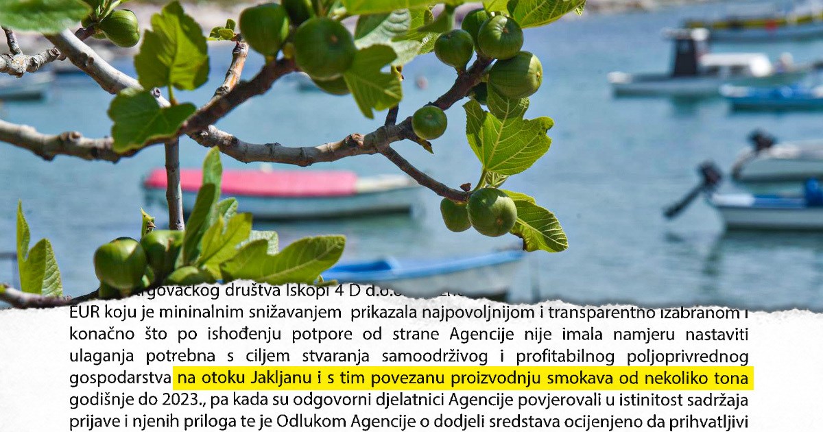 Priznao kako su izvlačili EU novac: Ja sam samo potpisivao papire, nisam ih ni čitao