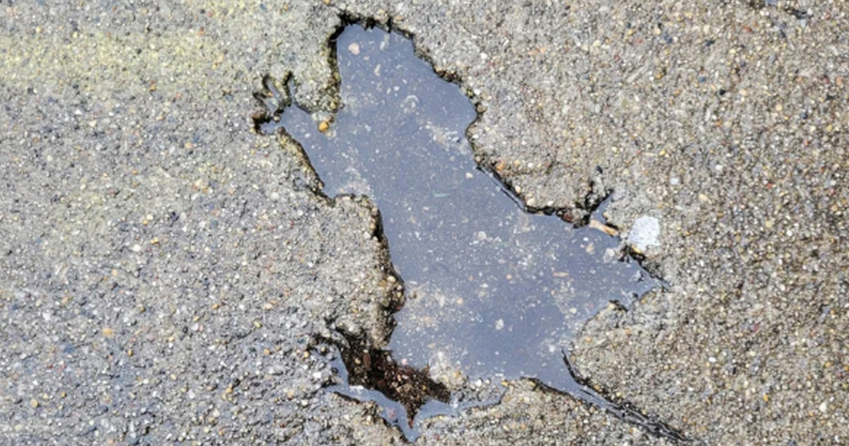 Misterij "štakorske rupe" u Chicagu. Znanstvenici otkrili da krivac nije štakor