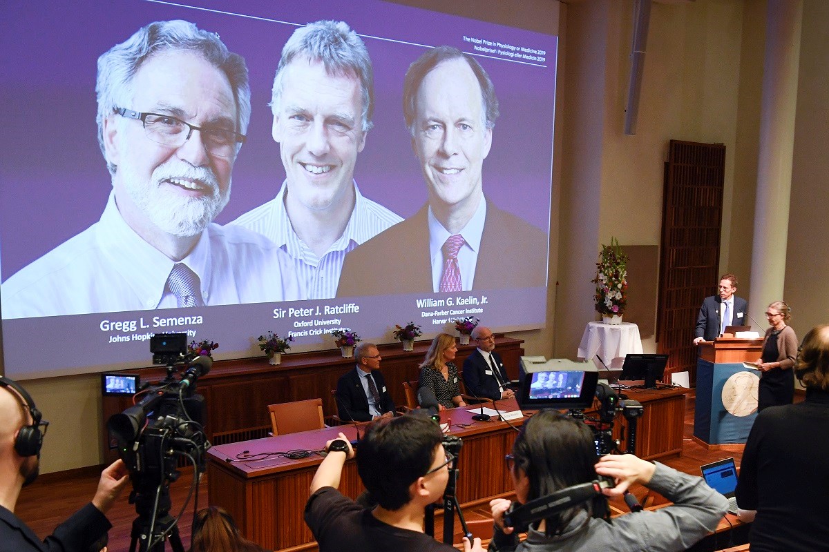 Dodijeljen Nobel za medicinu. Ovi ljudi učinili su mnogo za borbu protiv raka