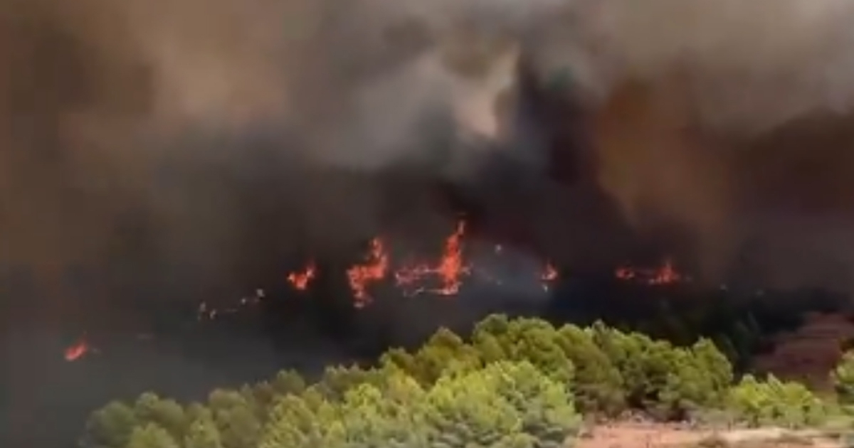 VIDEO Grom zapalio šumu kod Valencije. Cijelo selo dobilo nalog za evakuaciju