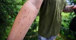 Kreće nova borba protiv komaraca u Osijeku nakon prolaska vodenog vala