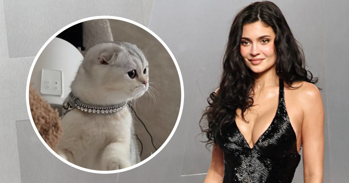 Kylie Jenner pokazala novog ljubimca, pratitelji se uhvatili za jedan detalj