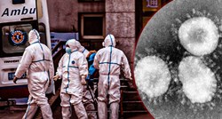 Koronavirusi su već odnosili milijune života. Kako su povezani s ovom pandemijom?