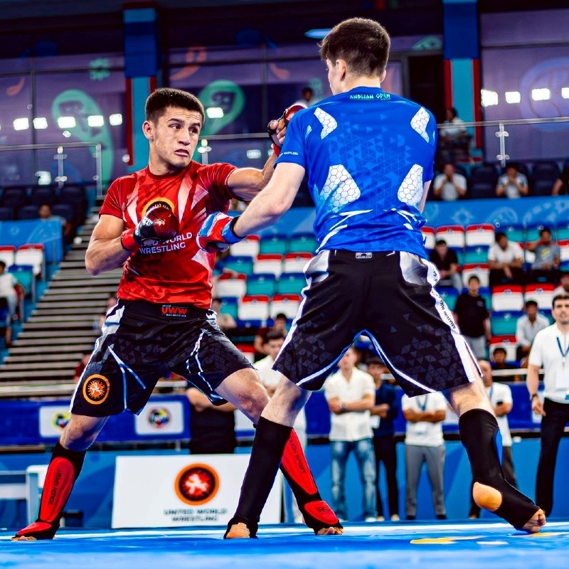 MMA postaje priznati sport?