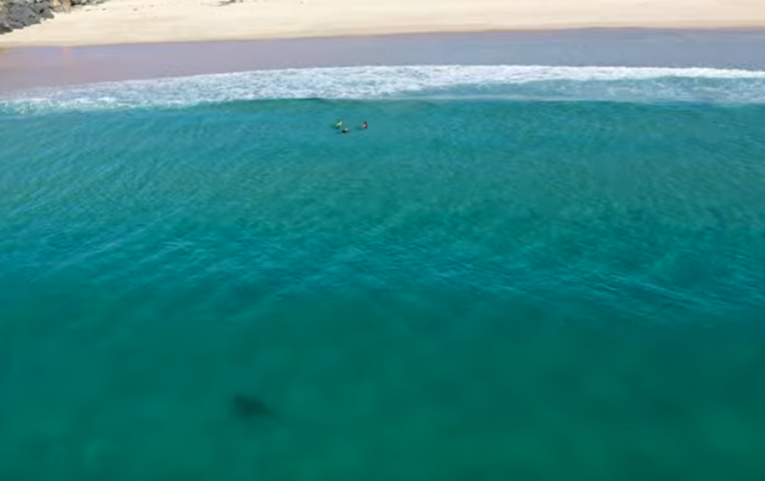 Dronom snimio morskog psa koji je bio udaljen samo nekoliko metara od djece