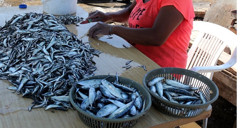 Turisti jeli otrovane sardine u francuskom restoranu. Jedna osoba umrla, 12 u bolnici