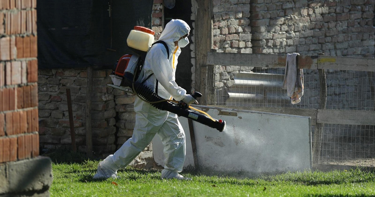 Veterinari upozoravaju: Virus afričke svinjske kuge nije nestao. I dalje prijeti