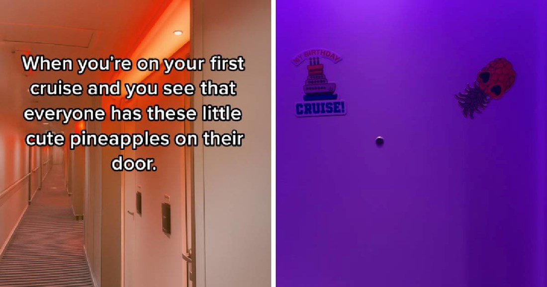 Ljudi su tek sad skužili skriveno 18+ značenje ananasa na vratima kabina na kruzeru