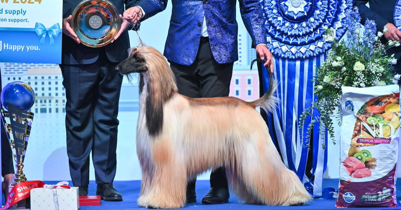FOTO Ovo je najljepši pas na svijetu. Odabran je u Zagrebu