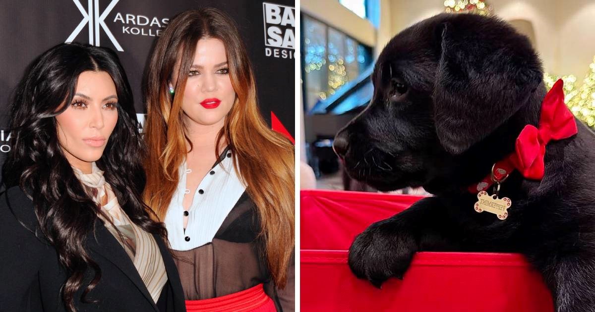 PETA napala Kim i Khloe Kardashian zbog kupnje pasa: "Štenci nisu plišane igračke"