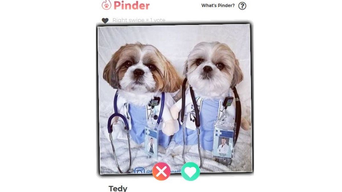 Nova aplikacija za dejtanje Pinder pomaže ljubimcima da pronađu svoju srodnu dušu