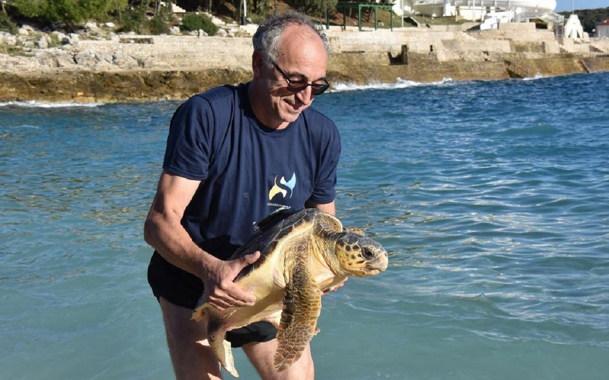 Mery Fisher i Zoki su se oporavili pa su pušteni u more u Puli