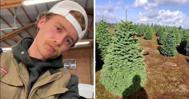 Farmer podijelio savjete za kupnju božićnog drvca: "Razmaknite grane"