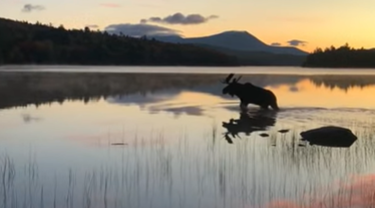 Zalazak koji zaustavlja dah: Ovo je dokaz da nema ljepše umjetnosti od prirode
