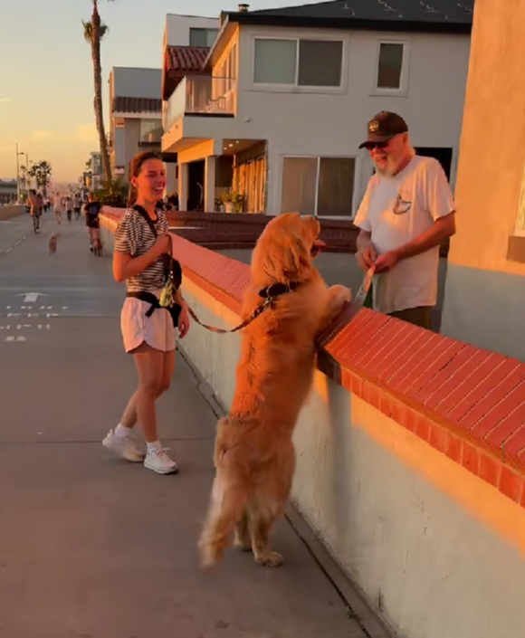 Zlatni retriver u šetnji vidio svog najdražeg susjeda, njegova reakcija je sve 🥹