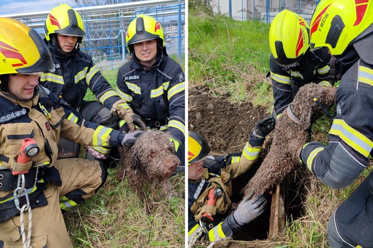 Vatrogasci usred stotina intervencija u Zagrebu spasili psa iz 8 metara dubokog šahta