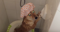 Pas poludi od sreće kad mu spomenu kupanje, pogledajte što čini u kadi