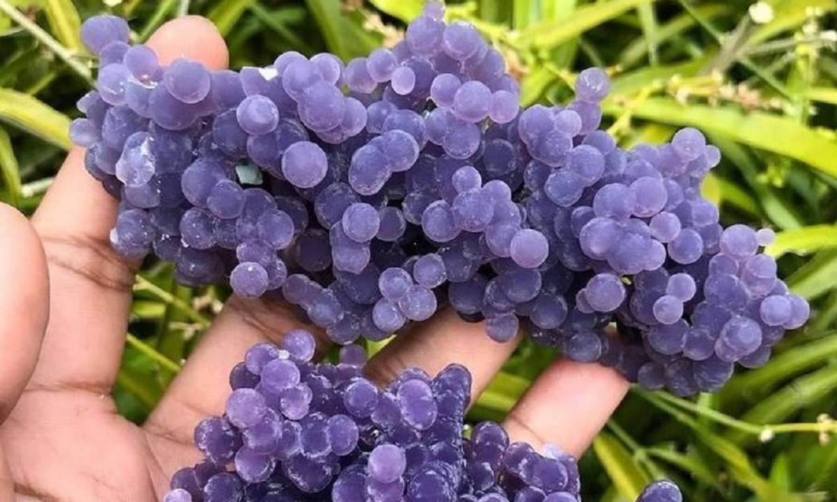 13 stvari koje vjerojatno vidite prvi put u životu. Znate li što je na fotki?