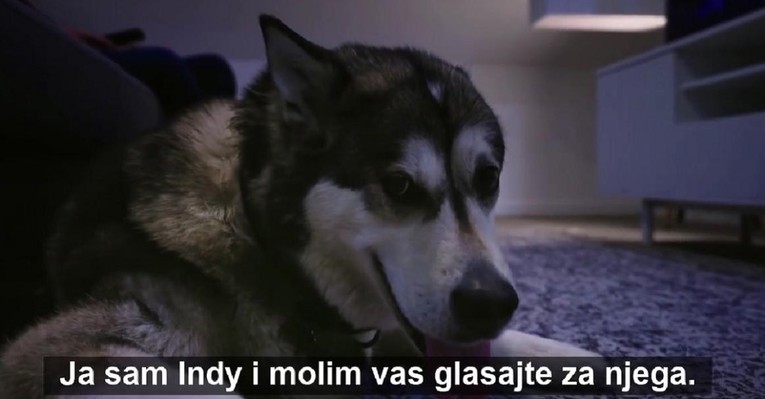 VIDEO Pas SDP-ovog kandidata za Split moli da glasate za njega