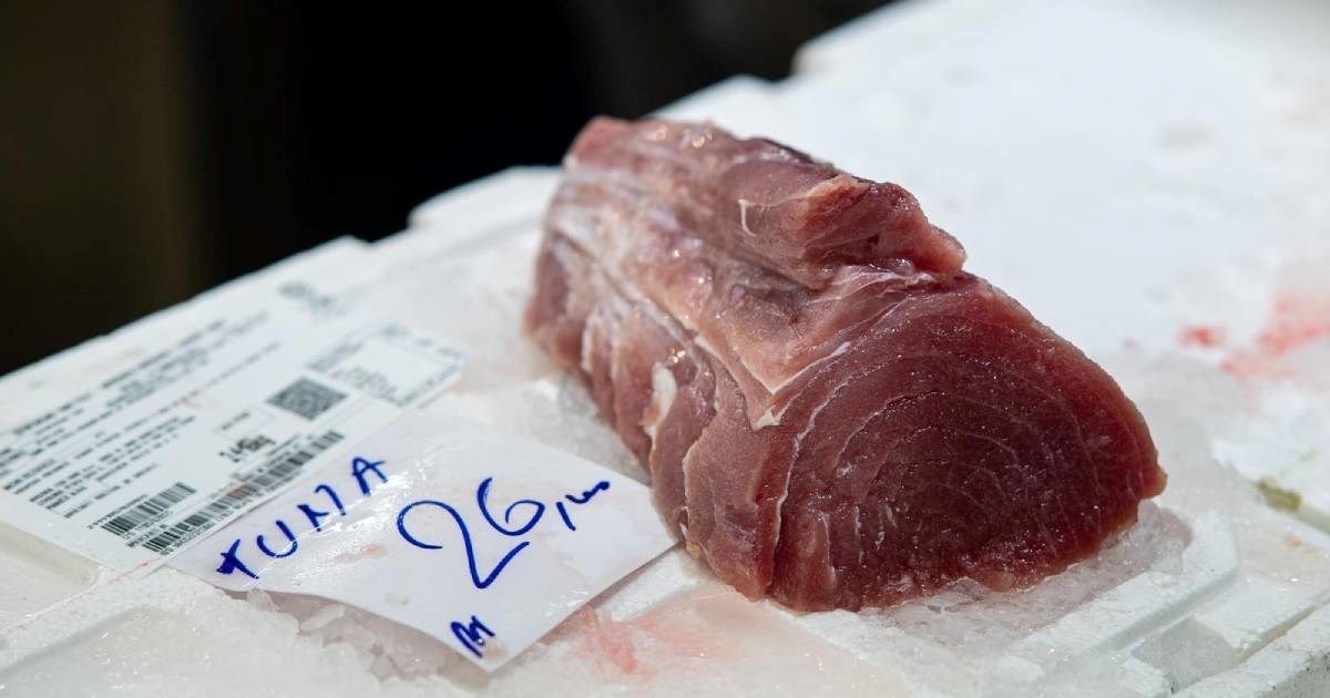 Evo koliko su na Badnjak koštali riba i morski plodovi na zagrebačkom Dolcu