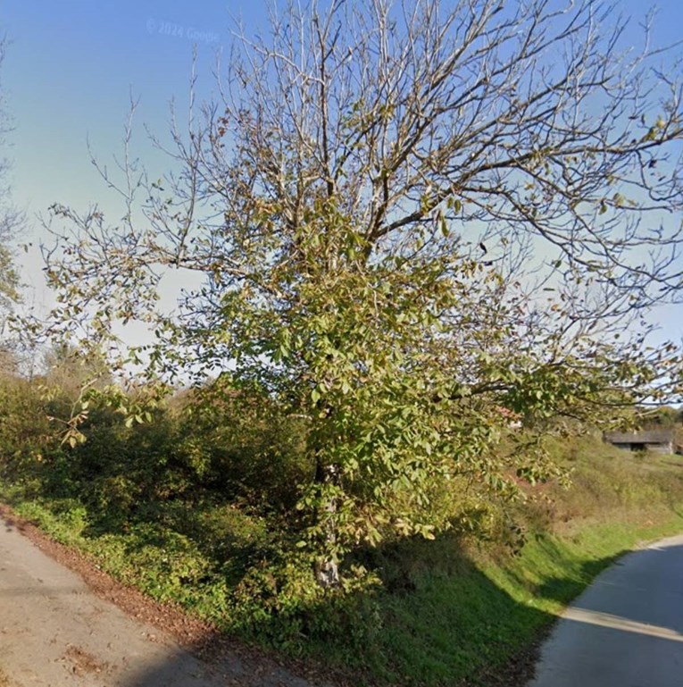 U kući kod Slunja pronađena dva tijela. Doznali smo na što policija sumnja