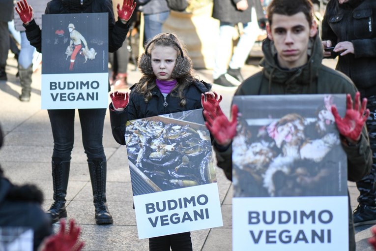 Prijatelji životinja na zagrebačkom Adventu: Životinje nisu "hodajuće kobasice"