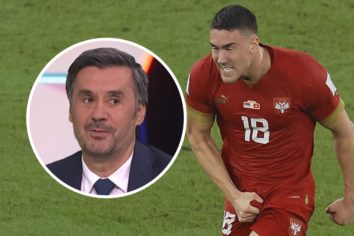 Bogdanović o Vlahoviću: Nije igrao za Srbiju zbog latentne boli u predjelu testisa