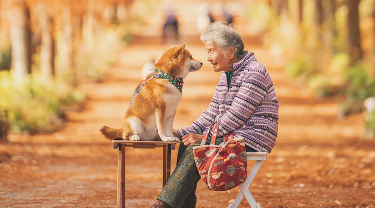 Fotke starice i njezinog psa prikazuju ljepote prijateljstva i prirode